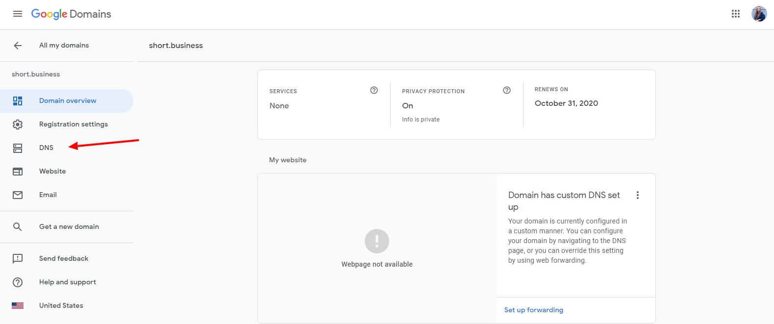 dns tab for google domain